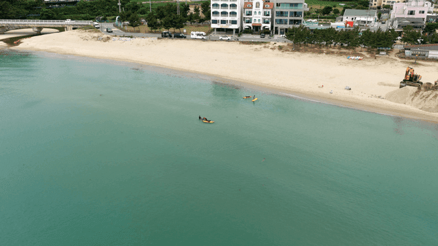 모래 해변 근처에서 서핑하는 사람들