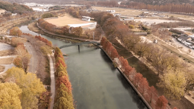 Scenic river with autumn trees