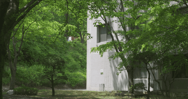 오래된 건물 옆 조용한 골목