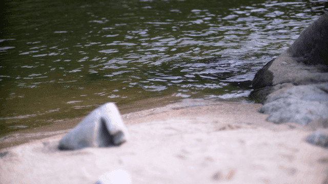 강가의 바위와 잔잔한 강물