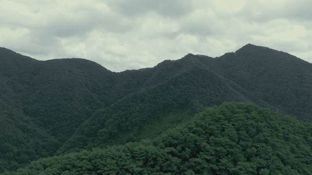 구름 낀 하늘 아래 푸른 산