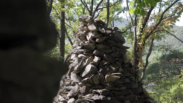 Stone tower in the midst of a lush green forest