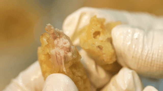 Person holding fried sweet and sour pork with gloved hands