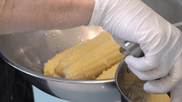 Tongs lifting boiled corn from pot