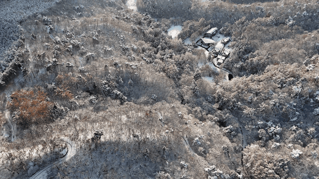 Snow-covered forest with winding road