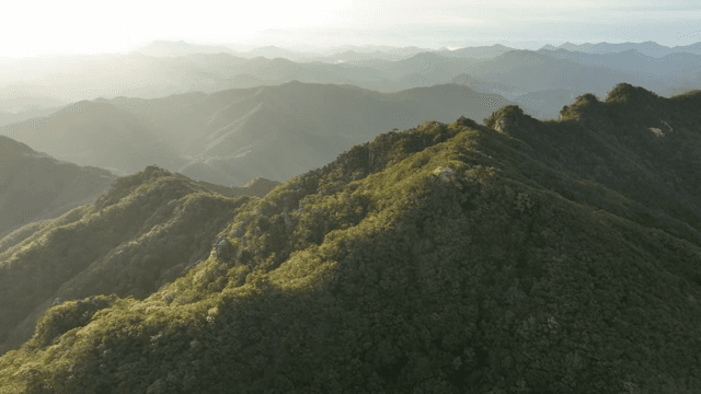 Green mountains under a clear sky