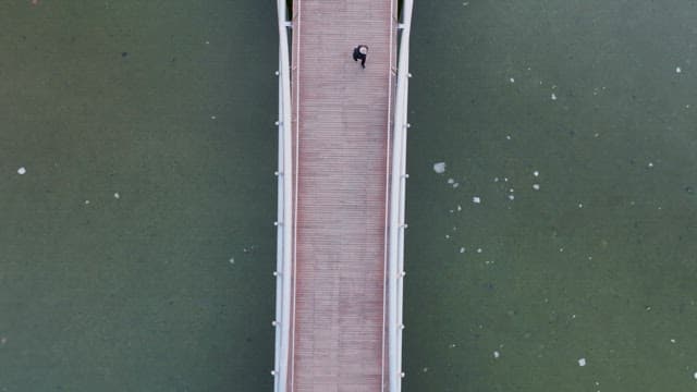 Person Walking on a Bridge Built in a Park