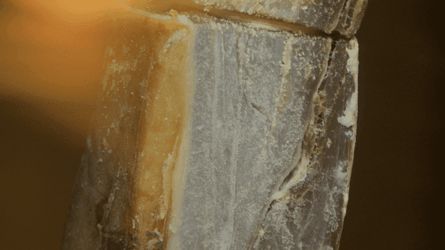 Close-up of ham with visible texture