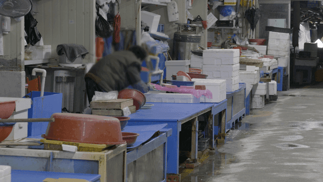 Merchants preparing to do business at fish market