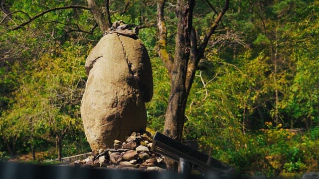 돌탑을 둘러싸고있는 무성한 나무와 녹지