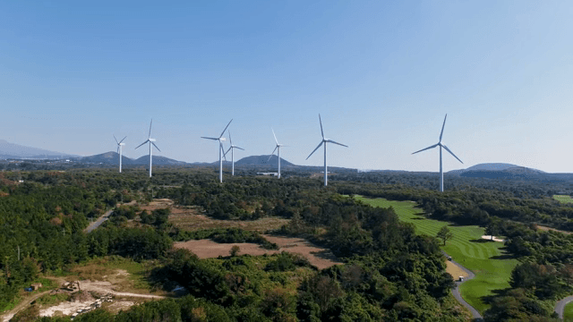 넓은 녹지에 있는 풍력 터빈