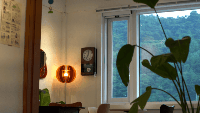 식물과 의자가 있는 아늑한 카페 내부