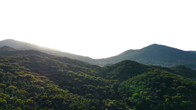 푸른 숲이 우거진 산악 풍경