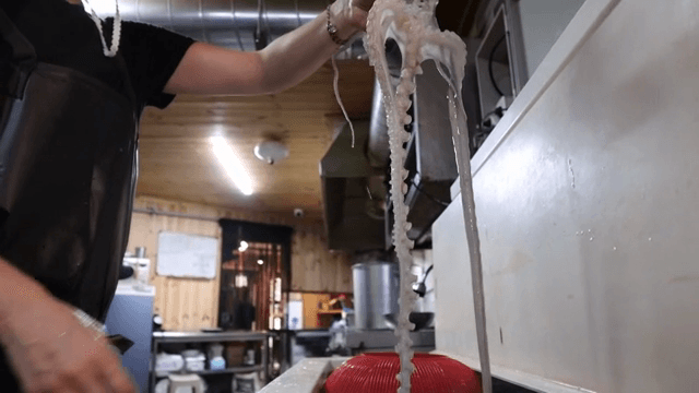 주방 수조에서 낙지 들어올리기