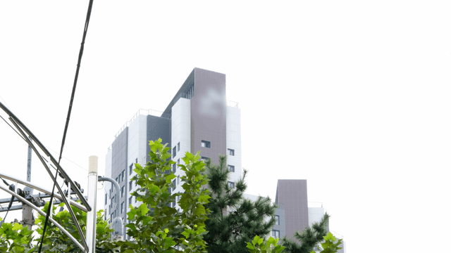 High-rise apartments with trees and streetlights