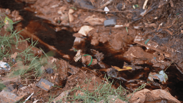 Polluted stream with litter and debris