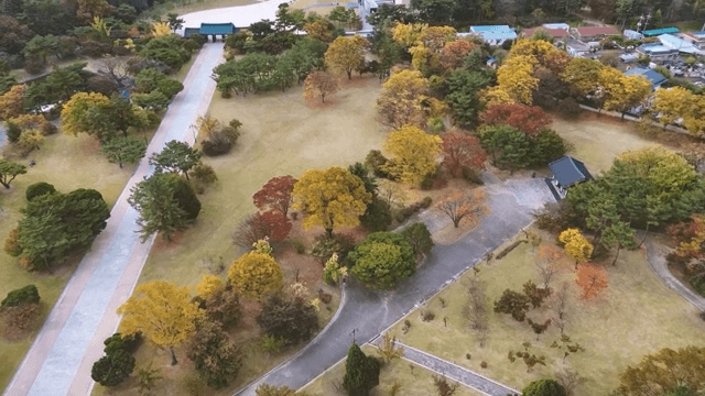 Park with colorful autumn trees