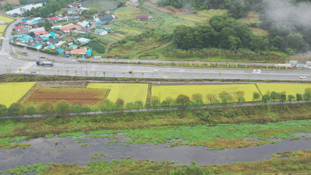 산 계곡 도로와 강변 농경지 풍경