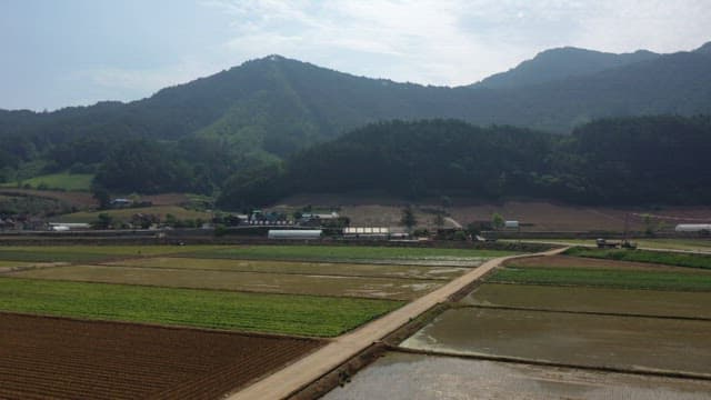 밝은 햇볕 아래 펼쳐진 넓고 푸른 농지