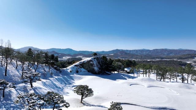 Snow-Covered Landscape with Pine Trees and Hills