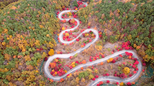 Winding road through colorful autumn forest