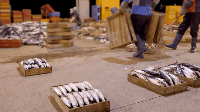 Workers sorting fish in a busy market