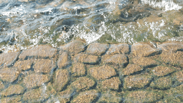 Clear water flowing over river rocks