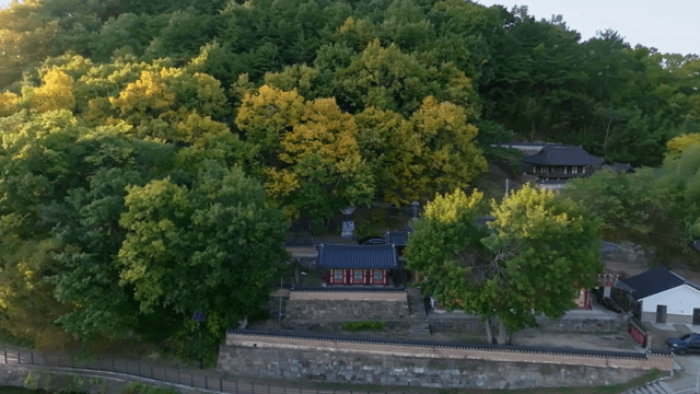 울창한 숲에 위치한 전통 한옥