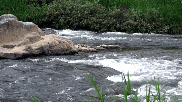 바위와 초목이 있는 흐르는 강