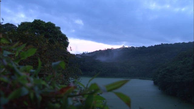 Serene Twilight over a Misty Rainforest Lake