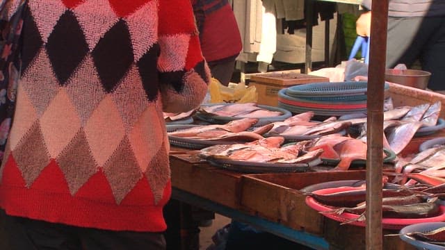 Marketplace Scene with Fresh Fish on Display
