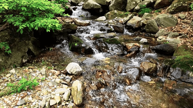 바위 위로 흐르는 시냇물