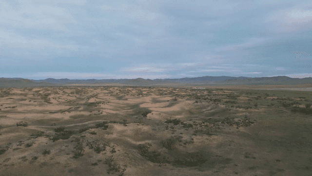 Vast plains landscape