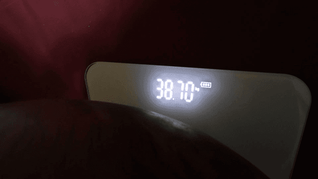 Weighing scale that measures weight of giant prayer bead