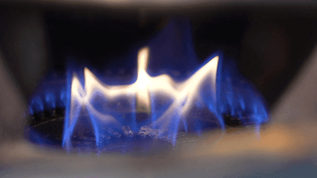 Blue flame on a gas stove burner