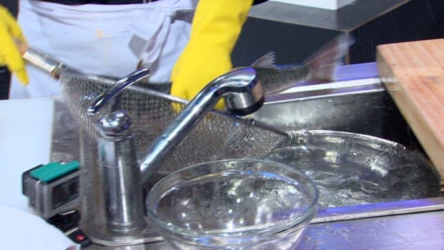 Handling gray mullet in a kitchen sink