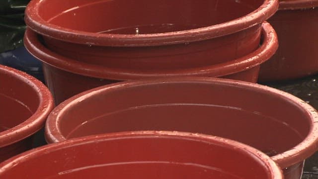 사용 중인 어업 수확통과 도구들