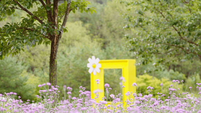 노란 프레임과 보라색 꽃밭