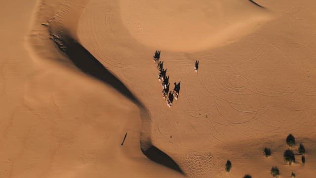 Camels and people crossing the desert