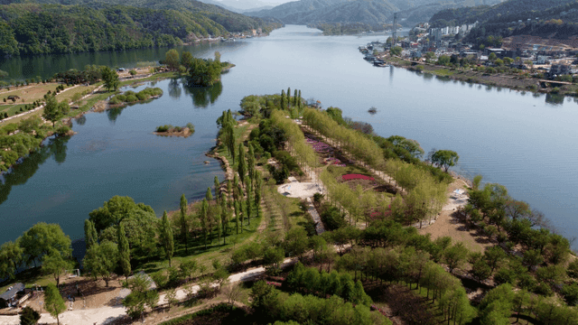 River landscape covered in lush greenery