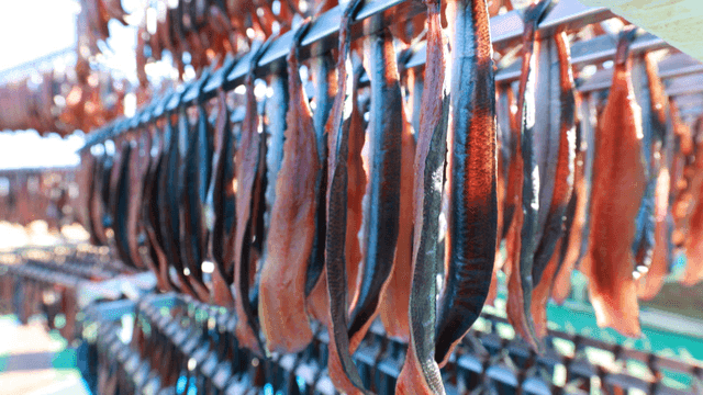 Gwamegi drying on shelf