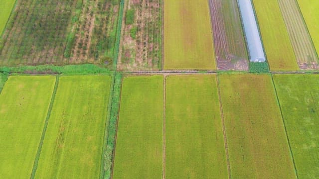 Expansive farmland with greenhouses