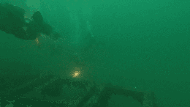 Divers exploring an underwater site