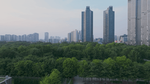 서울 도시 스카이라인 아래 푸른 공원