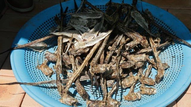 파란 바구니에 담긴 말린 대갱이