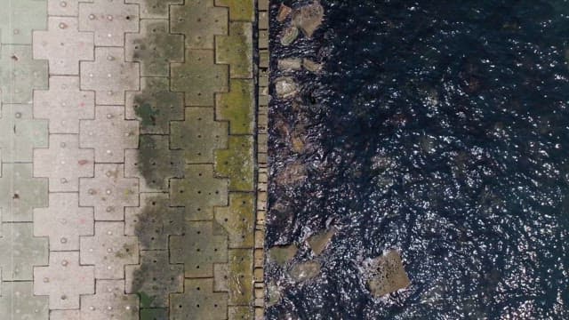 화창한 날 평화로운 바닷가 산책로