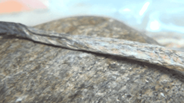 망치로 펴지는 말린 대갱이