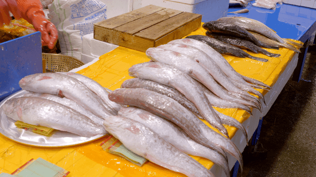 Fresh fish displayed on a market table