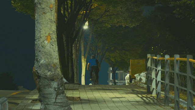 밤에 나무가 늘어선 길을 강아지와 자전거로 달리는 노인 남성