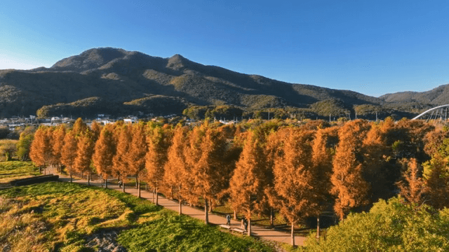 가을 단풍이 가득한 광활한 산 풍경